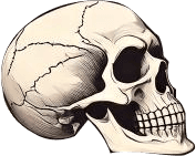 Memento Mori Skull